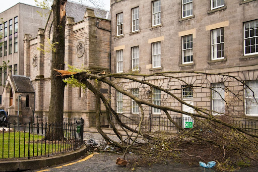 A fallen tree obstructs a cobbled road in front of a stone building