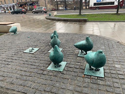 Six copper-blue pigeon sculptures on Elm Row. One is missing.